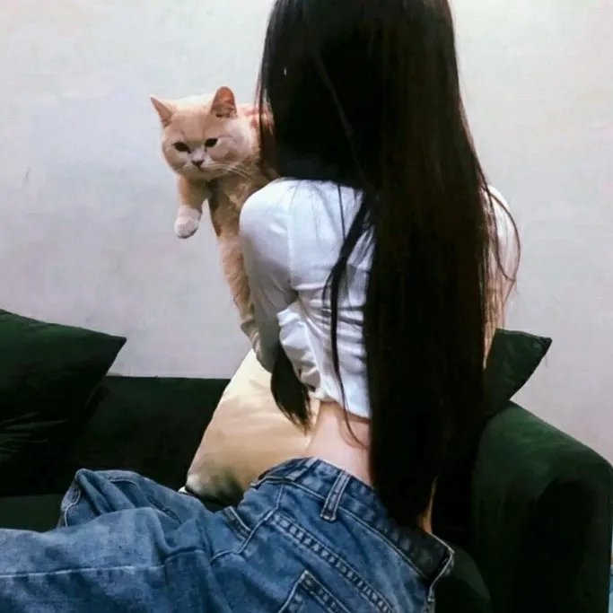 小扒手道奇