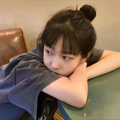 科搜研之女2022